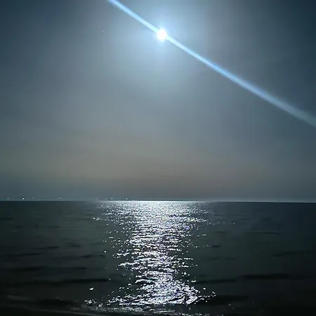 Mare